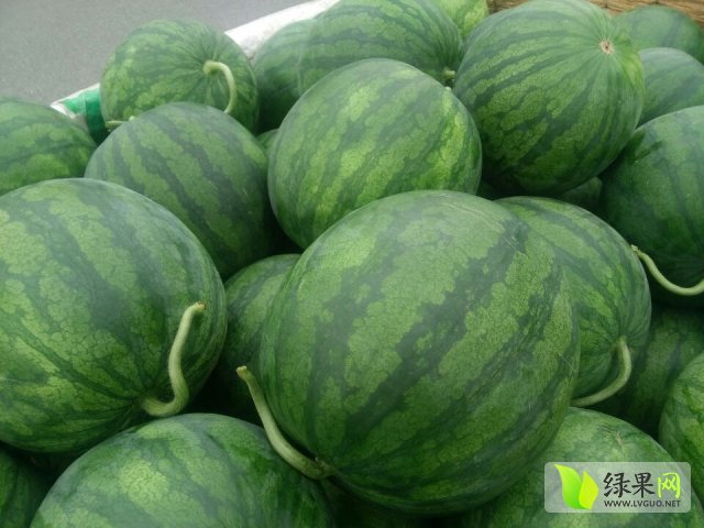山东昌乐县花皮无籽西瓜品质优良