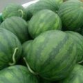 山东昌乐县花皮无籽西瓜品质优良