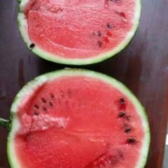 陕西大荔京欣西瓜香甜可口