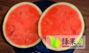 无籽西瓜诚信合作