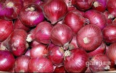 2016安丘洋葱今年价格有看点