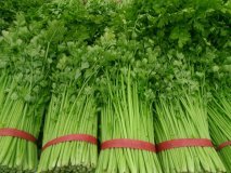 2015铜山芹菜走过路过不要错过