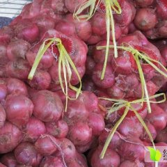 藁城洋葱著名品牌,常安王大林诚信合作