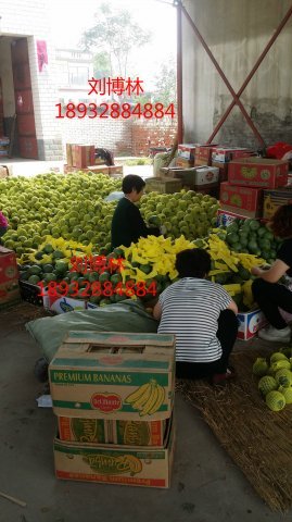 2015年河北新乐绿宝石价格