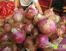 河南省汝州市纸坊强龙蔬菜批发市场洋葱上市中