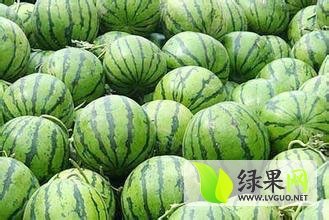 凌海西瓜绿色无公害,建业郑永旗诚信合作