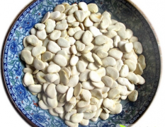 江西玉山白玉豆（白京豆其他蔬菜品质优良