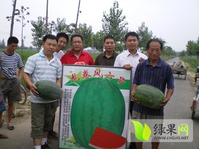 2015年河南开封龙卷风价格