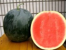 2015年陕西蒲城黑皮无籽价格