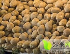 河南省开封代收土豆/马铃薯/等蔬菜