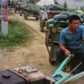 2015宜城西瓜走过路过不要错过