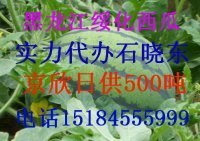 黑龙江绥化红旗西瓜供应基地
