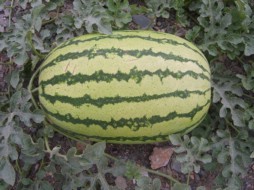 靖远北滩金城5号信息中心