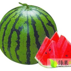 清苑西瓜是名优特产,南和李海峰诚信合作