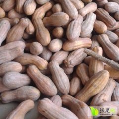 2015公安南瓜走过路过不要错过