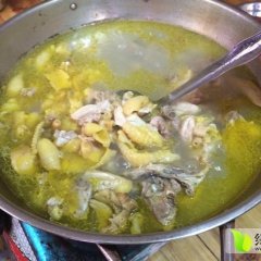 江南盘岭李荣港6月土鸡