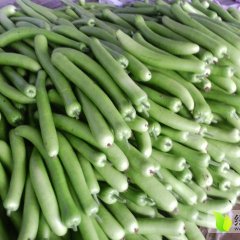 2015青州其他蔬菜今年价格有看点