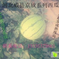 2015威县西瓜抓住商机无限