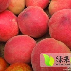 陕西大荔突围，郑3蜜桃早买早赚