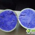 石湖西瓜少量上市