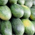 湖北省宜城市新街黑美人.花皮西瓜产销诚信合作
