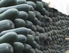 郯城冬瓜随行就市,红花岳崇潮诚信合作