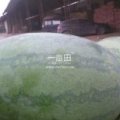龙卷风