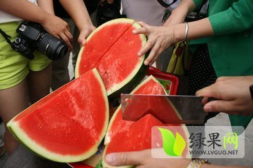 花皮无籽价格