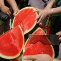 山东花皮无籽大量上市，希望长期合作