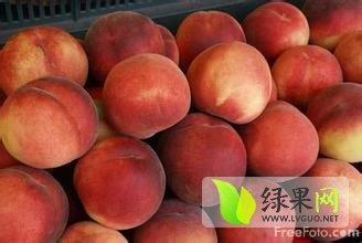 湖北省宜城市板桥镇大量桃子出售