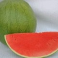 大荔大荔党力康6月花皮无籽西瓜