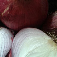 寒亭洋葱何去何从,朱里房美霞诚信合作