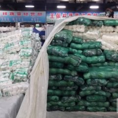 浙江余杭中甘21甘蓝欢迎合作