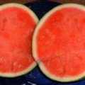 蒲城蒲城邢力强6月花皮无籽西瓜