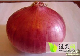 2015年河南通许红皮洋葱价格