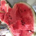惠民西瓜品质优良麻店贾朦朦诚信合作