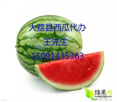 2015年陕西大荔京欣价格