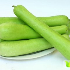 2015中牟其他蔬菜值得出手