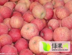 2015万荣苹果