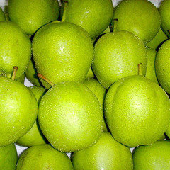 陕西大荔酥梨香甜可口