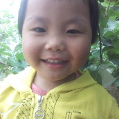 2015清苑西瓜现在订货有惊喜