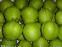 2015年陕西蒲城酥梨价格