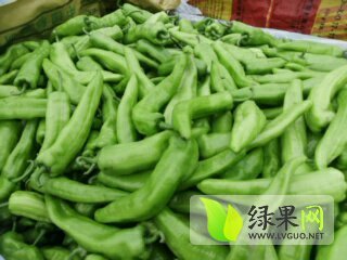 2015年河南中牟羊角椒价格