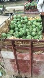 安徽固镇京欣：石湖乡徐善玉