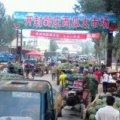 开封新绿宝.绿色又环保
