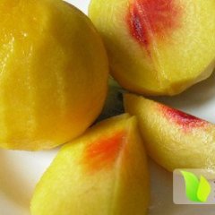 嘉善姚庄锦绣黄桃口感清爽