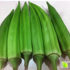 山东乐陵黄秋葵蔬菜其他蔬菜著名品牌