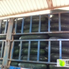 2015清苑冬瓜值得出手