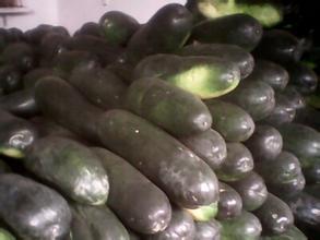 2015中牟冬瓜俏销大江南北