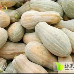 湖南君山秘本大果南瓜价格行情平稳